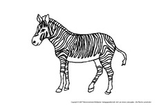 Zebra-1.pdf
